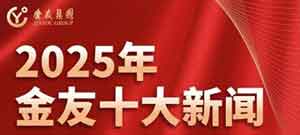 ���Ѽ���2025��ʮ������